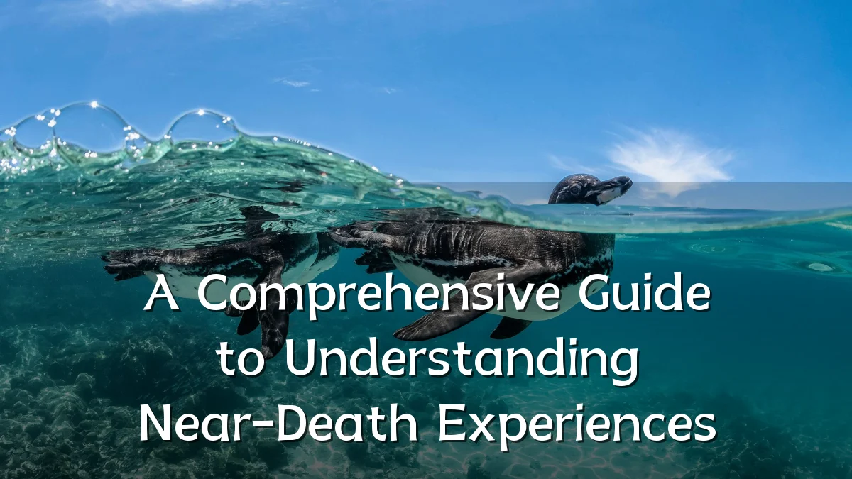 A Comprehensive Guide to Understanding Near-Death Experiences