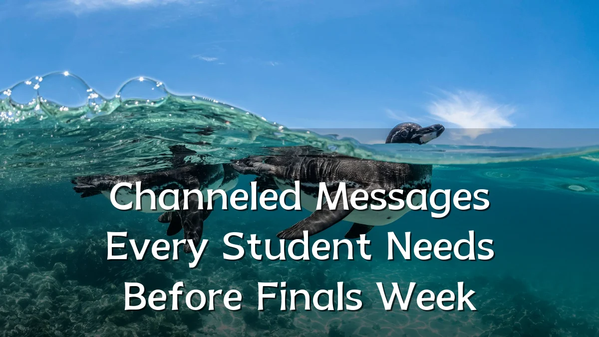 Channeled Messages Every Student Needs Before Finals Week