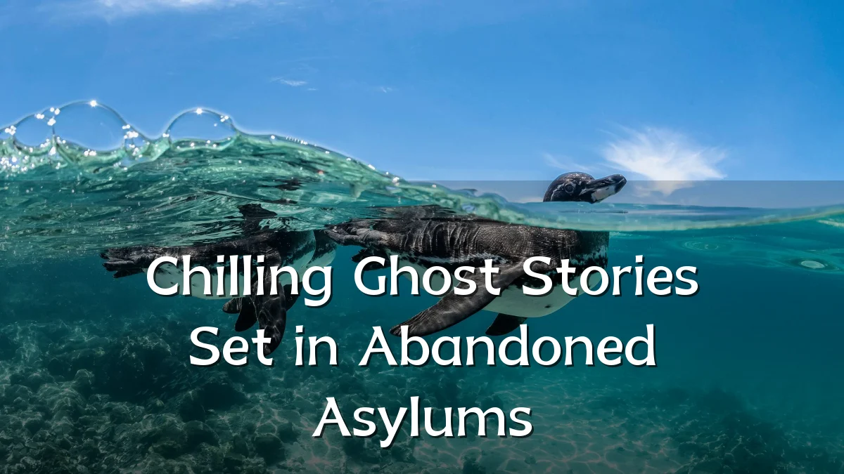 Chilling Ghost Stories Set in Abandoned Asylums