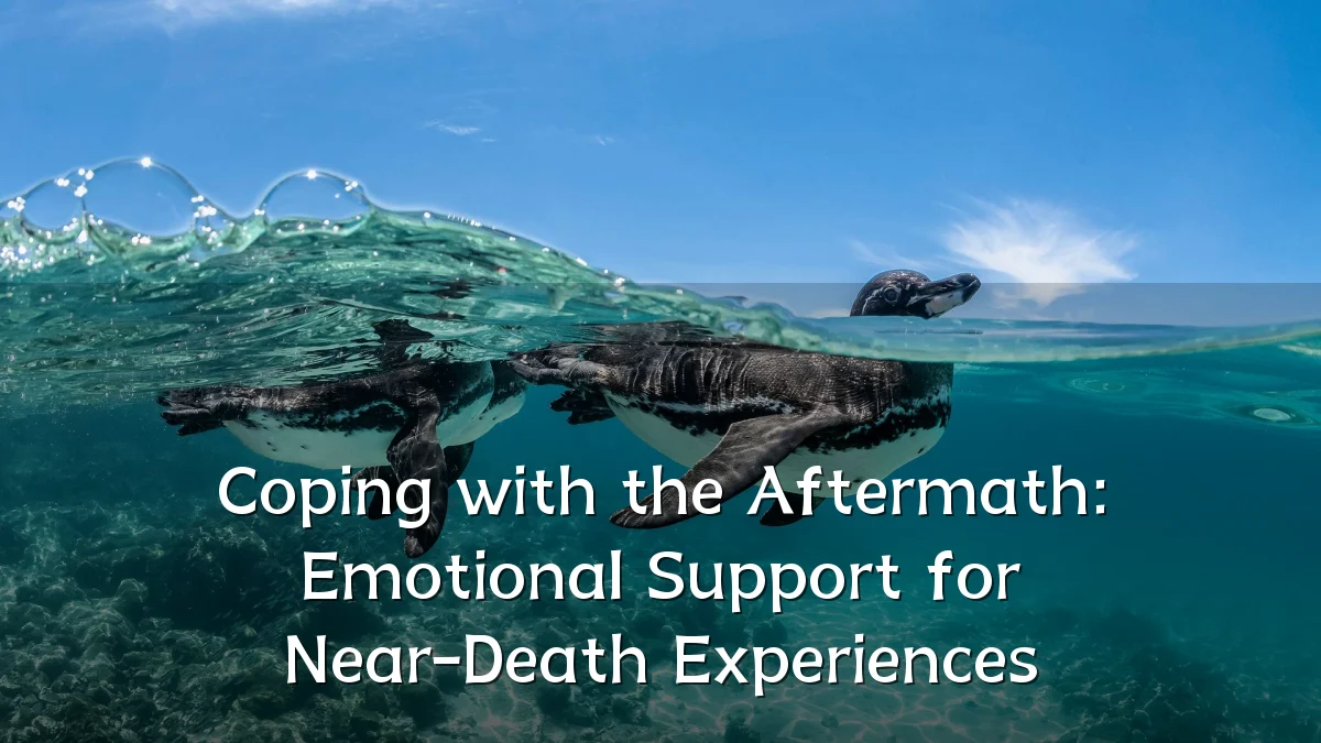 Coping with the Aftermath: Emotional Support for Near-Death Experiences