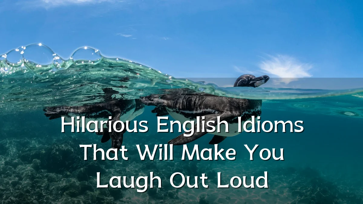 Hilarious English Idioms That Will Make You Laugh Out Loud