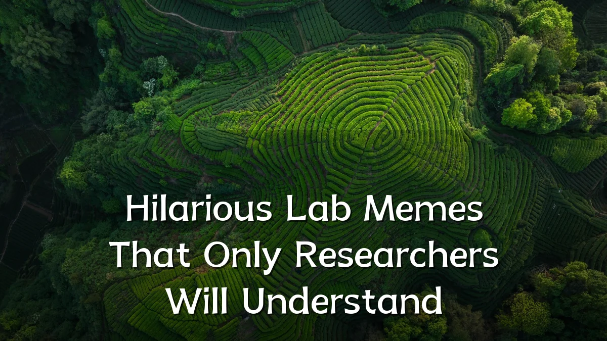 Hilarious Lab Memes That Only Researchers Will Understand