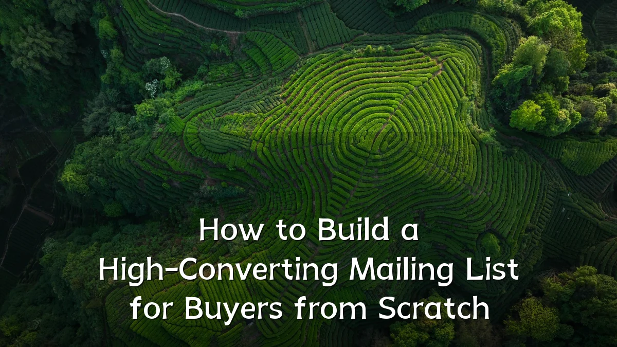 How to Build a High-Converting Mailing List for Buyers from Scratch