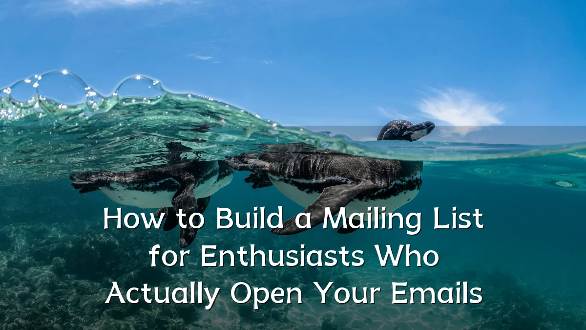 How to Build a Mailing List for Enthusiasts Who Actually Open Your Emails