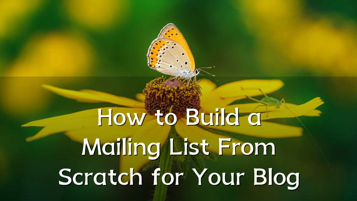 How to Build a Mailing List From Scratch for Your Blog