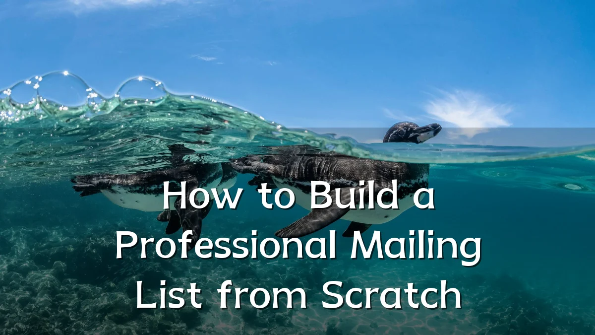 How to Build a Professional Mailing List from Scratch