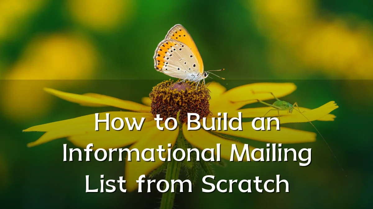How to Build an Informational Mailing List from Scratch