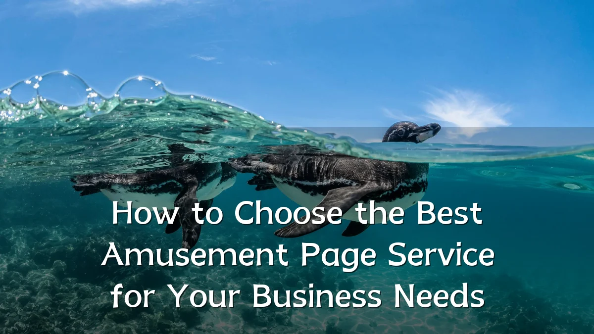 How to Choose the Best Amusement Page Service for Your Business Needs