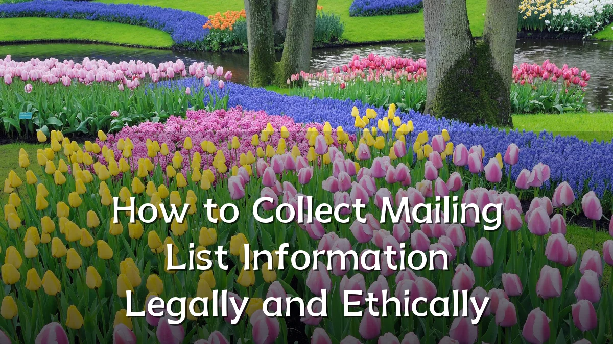 How to Collect Mailing List Information Legally and Ethically
