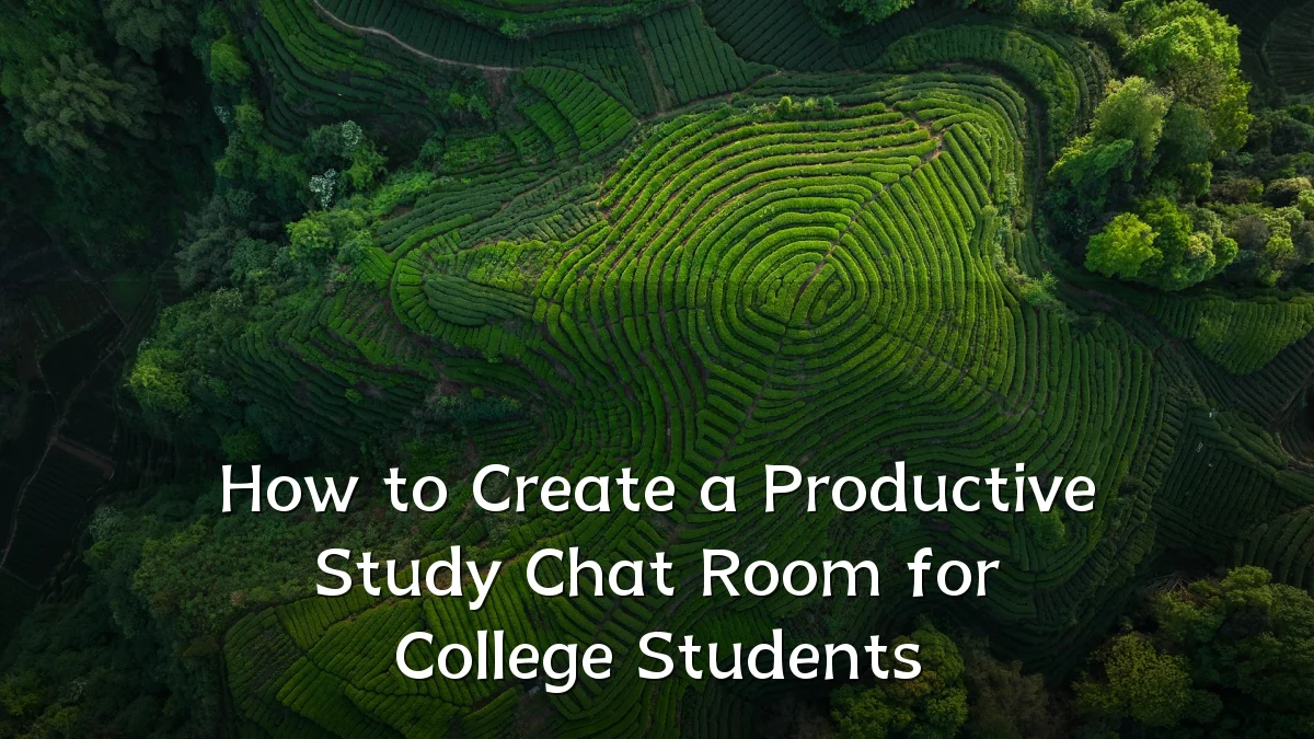 How to Create a Productive Study Chat Room for College Students