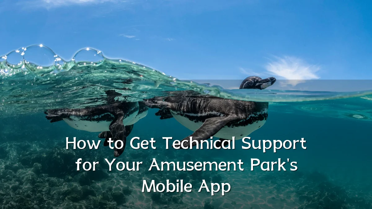 How to Get Technical Support for Your Amusement Park's Mobile App