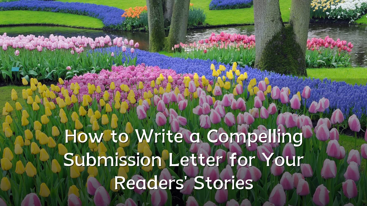How to Write a Compelling Submission Letter for Your Readers' Stories
