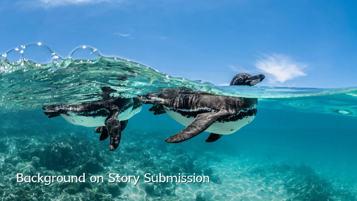Background on Story Submission