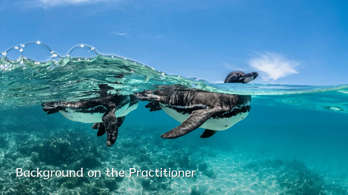 Background on the Practitioner
