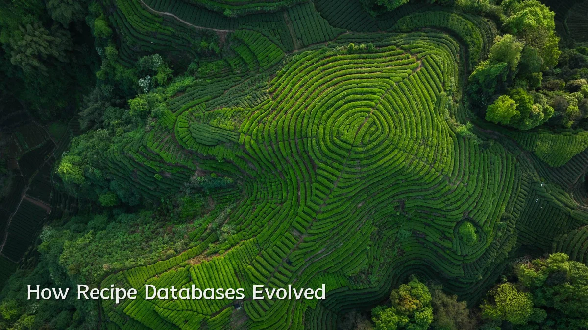 How Recipe Databases Evolved