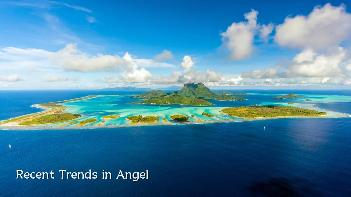 Recent Trends in Angel