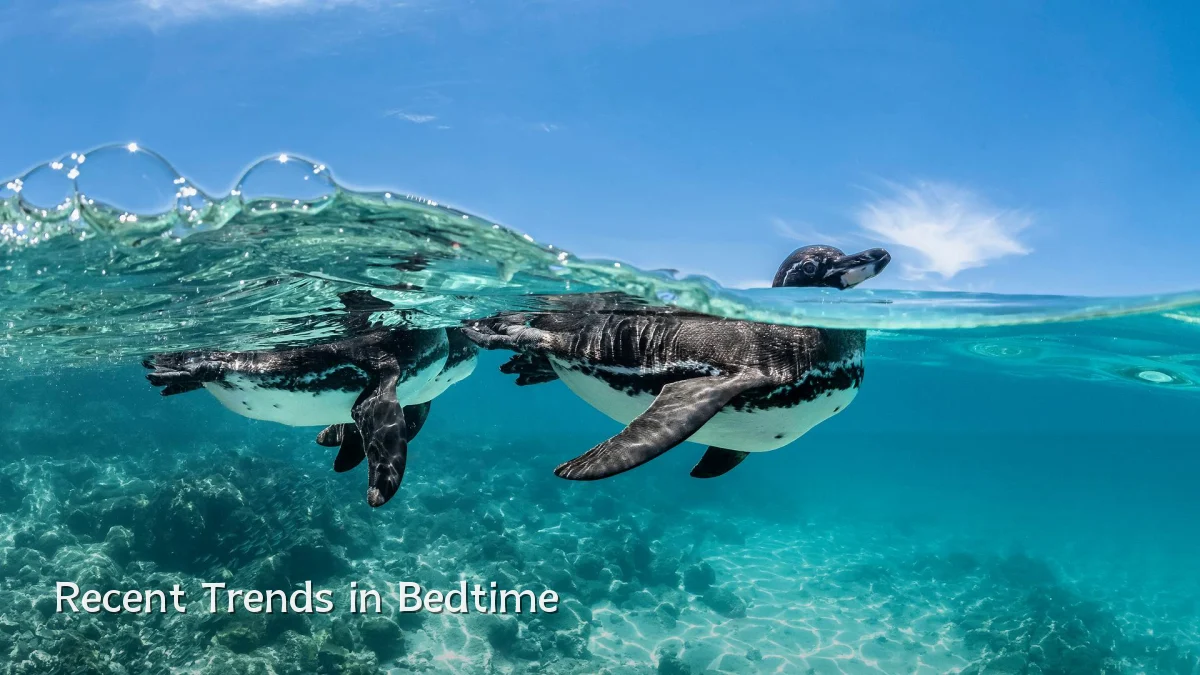Recent Trends in Bedtime