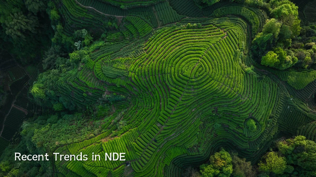 Recent Trends in NDE