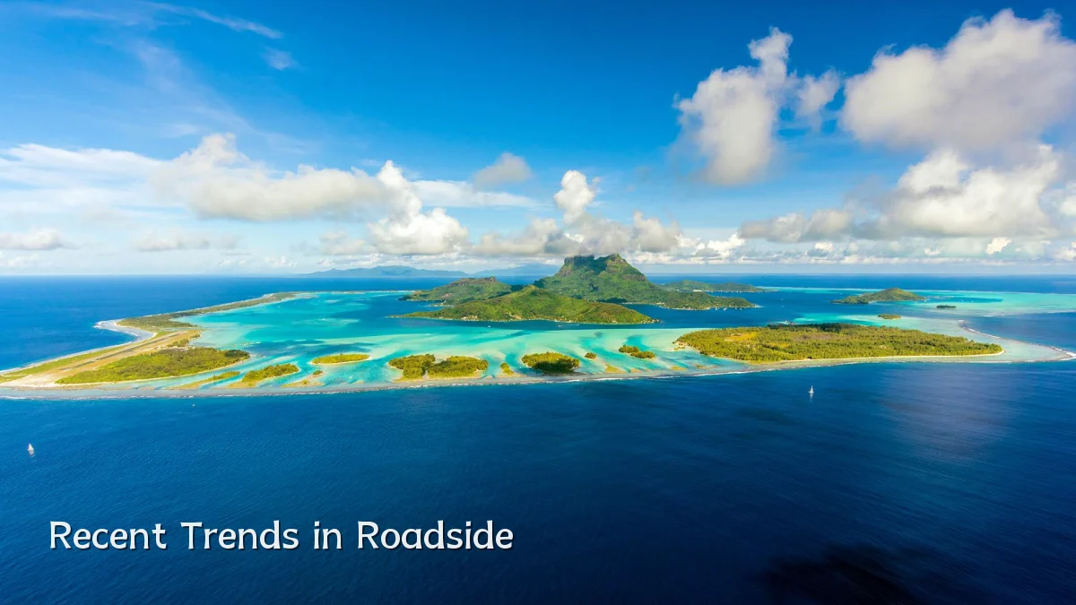 Recent Trends in Roadside