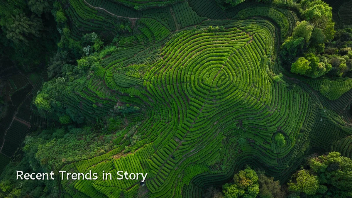 Recent Trends in Story
