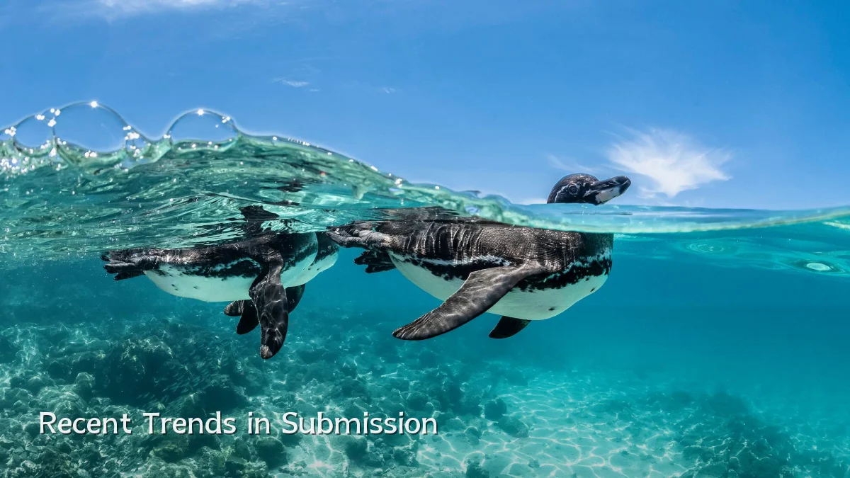 Recent Trends in Submission