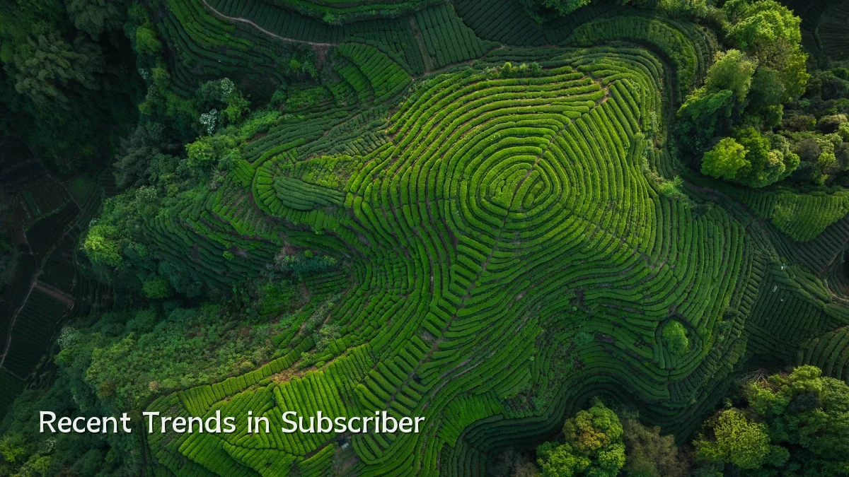Recent Trends in Subscriber