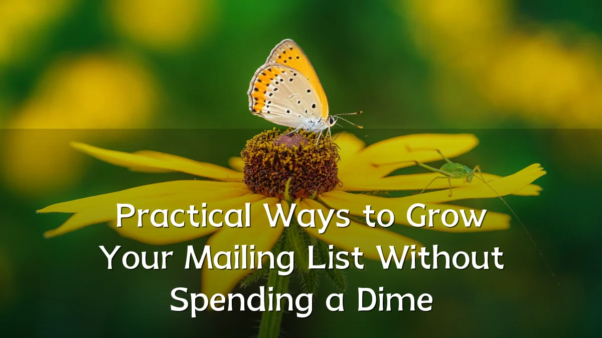 Practical Ways to Grow Your Mailing List Without Spending a Dime