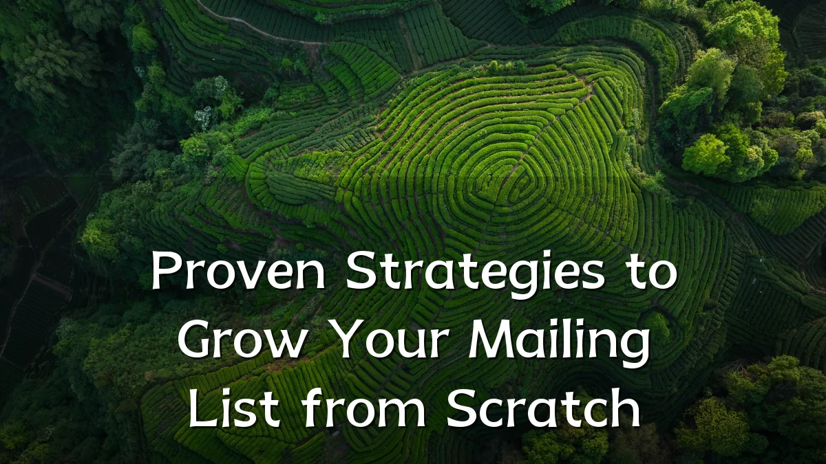 Proven Strategies to Grow Your Mailing List from Scratch