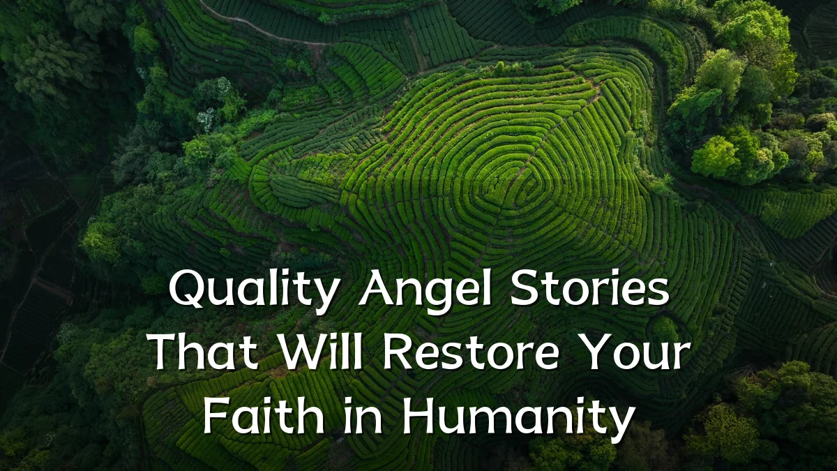 Quality Angel Stories That Will Restore Your Faith in Humanity