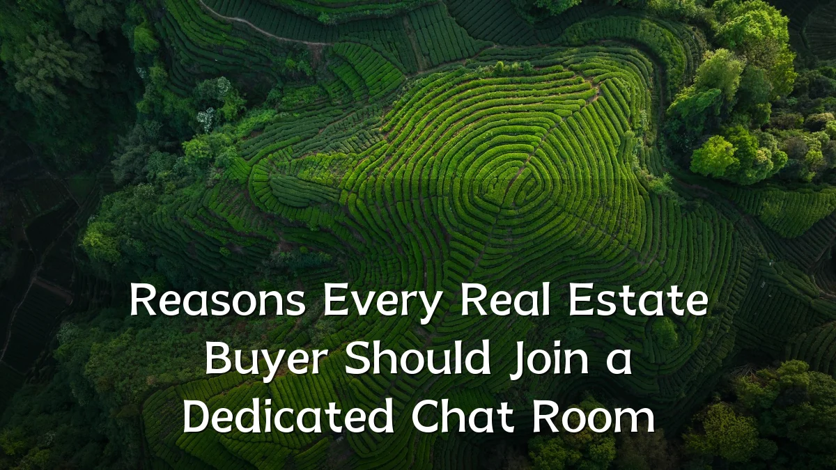 Reasons Every Real Estate Buyer Should Join a Dedicated Chat Room