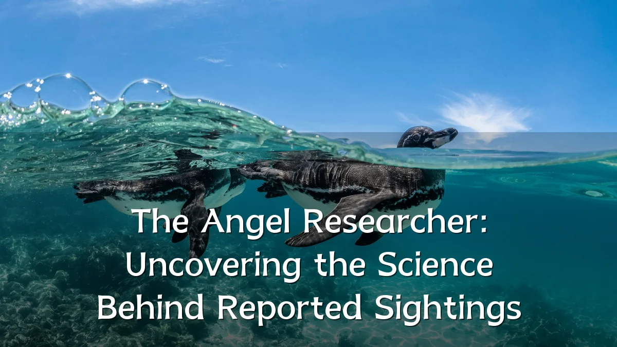 The Angel Researcher: Uncovering the Science Behind Reported Sightings