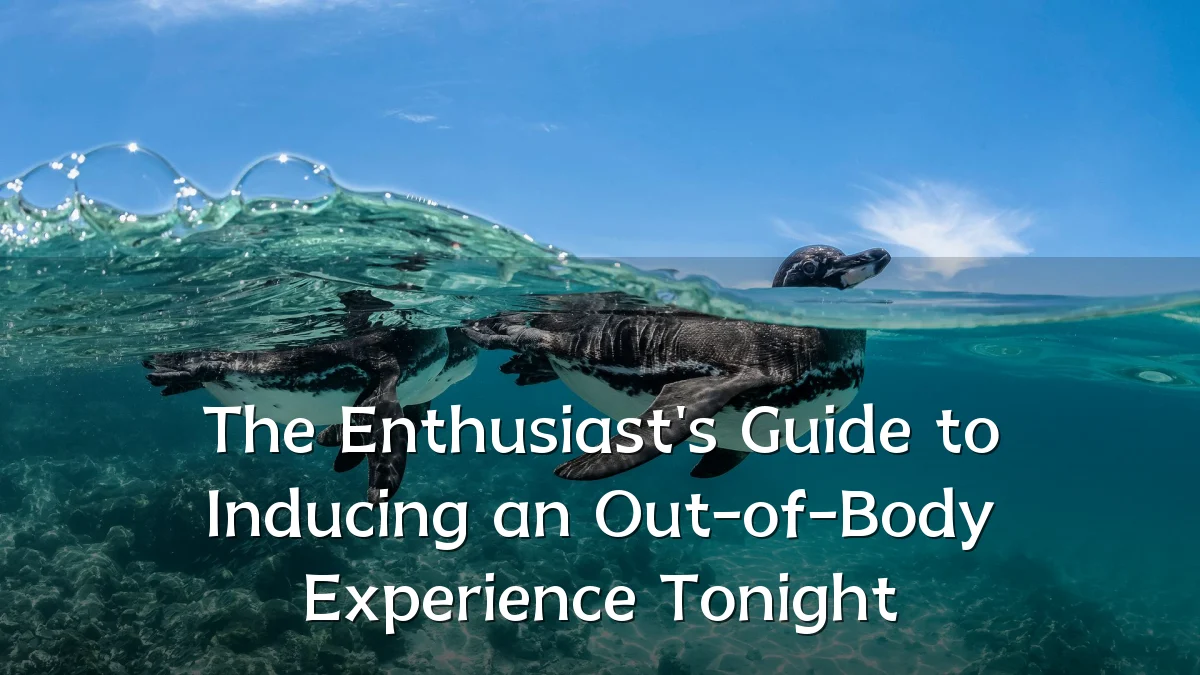 The Enthusiast's Guide to Inducing an Out-of-Body Experience Tonight