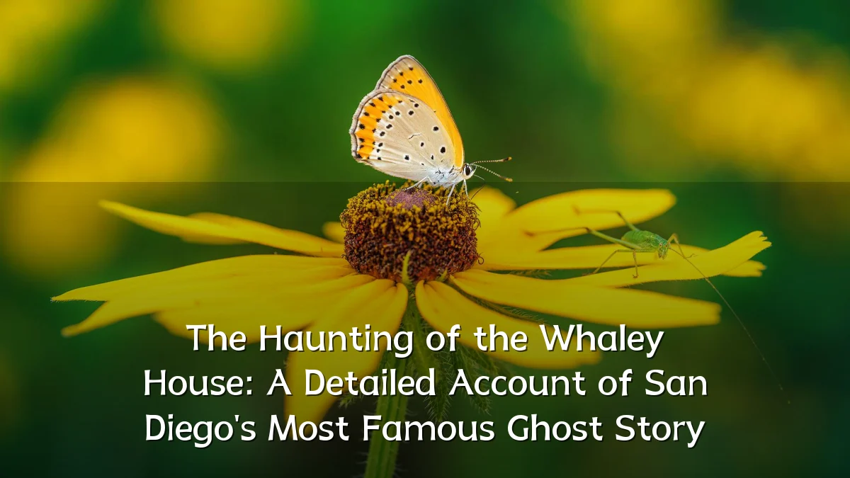 The Haunting of the Whaley House: A Detailed Account of San Diego's Most Famous Ghost Story