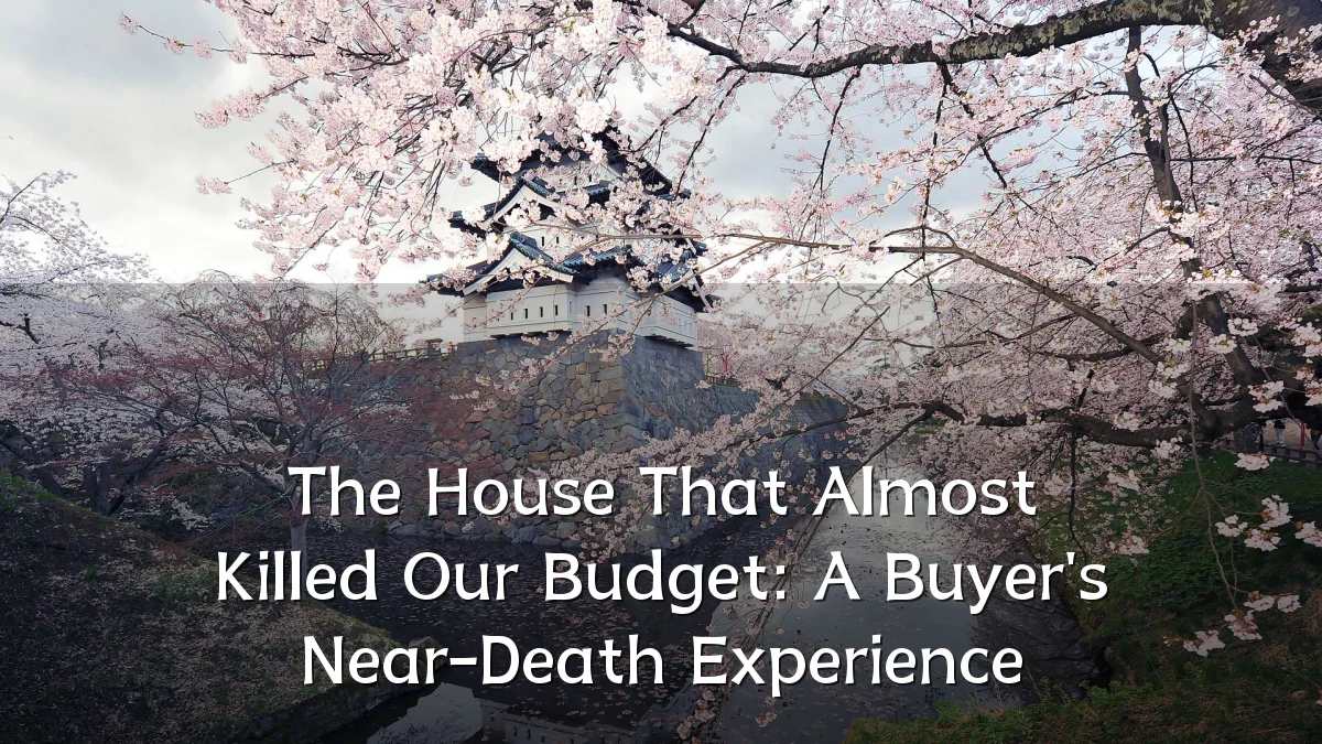 The House That Almost Killed Our Budget: A Buyer's Near-Death Experience