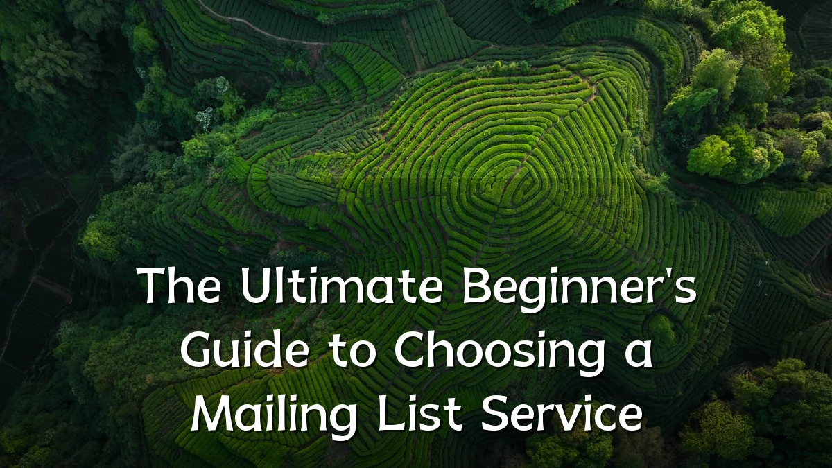 The Ultimate Beginner's Guide to Choosing a Mailing List Service