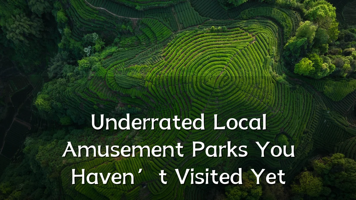 Underrated Local Amusement Parks You Haven’t Visited Yet