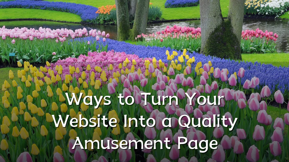 Ways to Turn Your Website Into a Quality Amusement Page