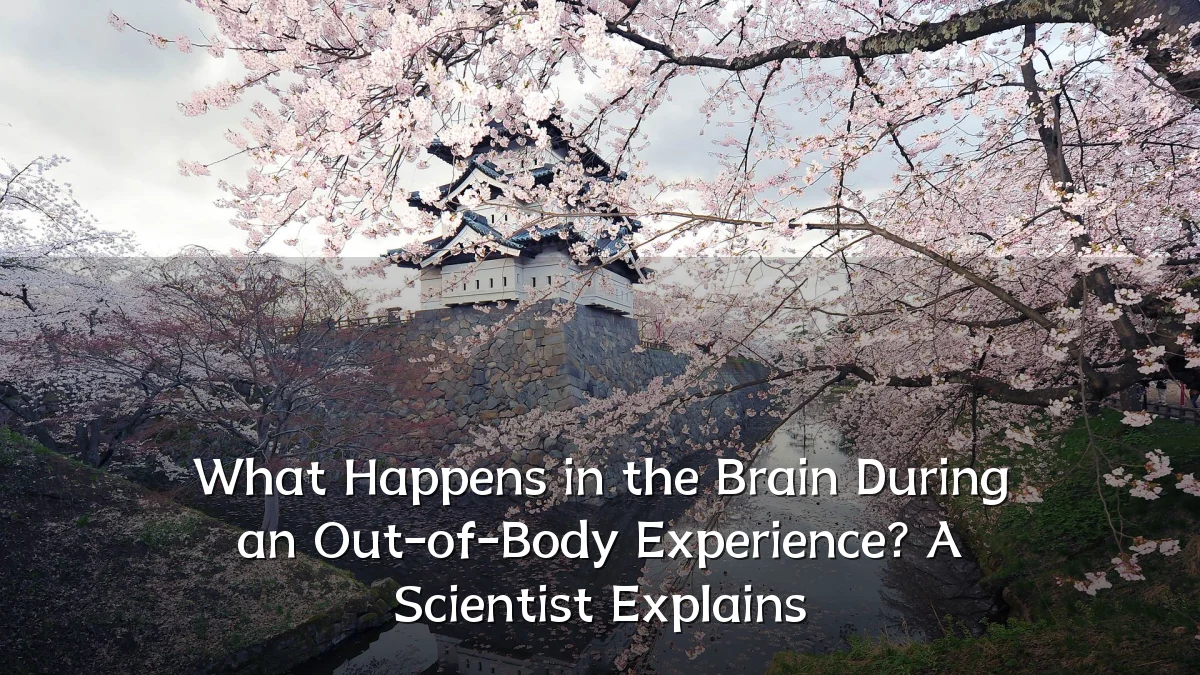 What Happens in the Brain During an Out-of-Body Experience? A Scientist Explains