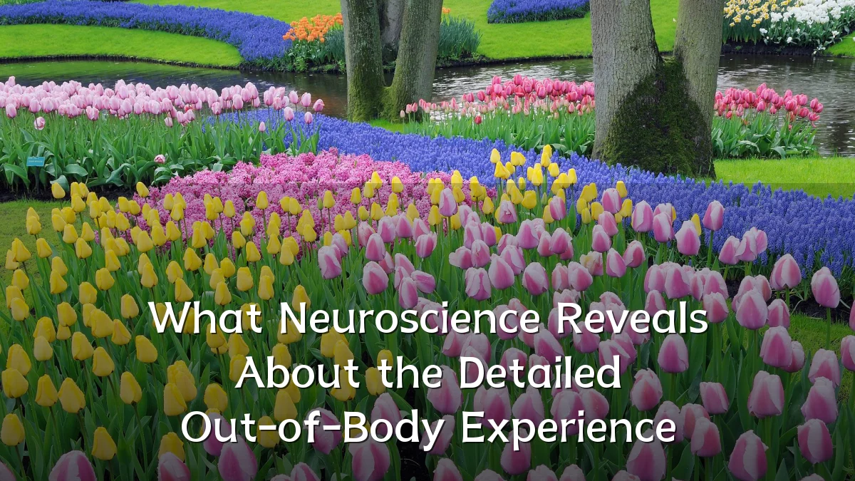 What Neuroscience Reveals About the Detailed Out-of-Body Experience