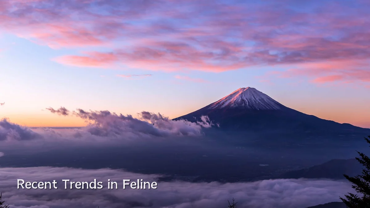 Recent Trends in Feline