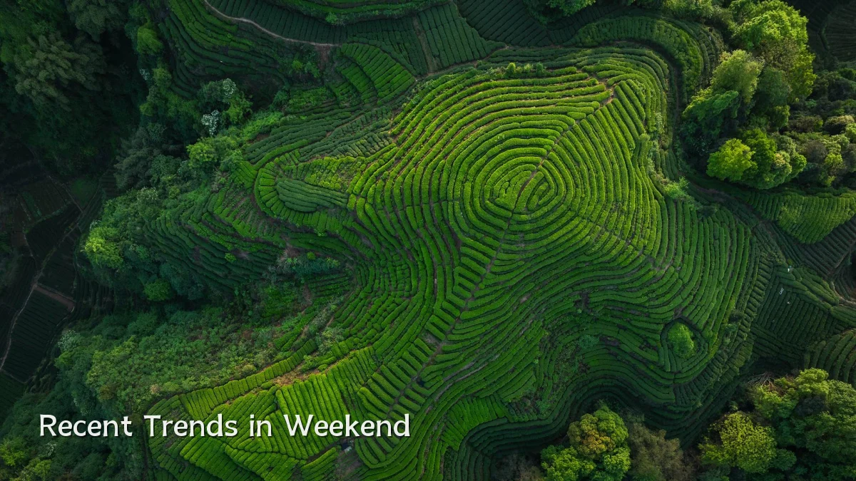 Recent Trends in Weekend