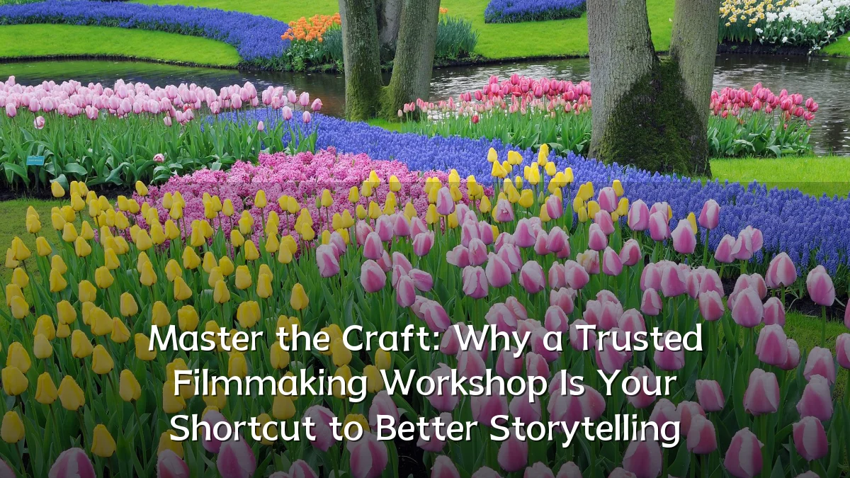 Master the Craft: Why a Trusted Filmmaking Workshop Is Your Shortcut to Better Storytelling