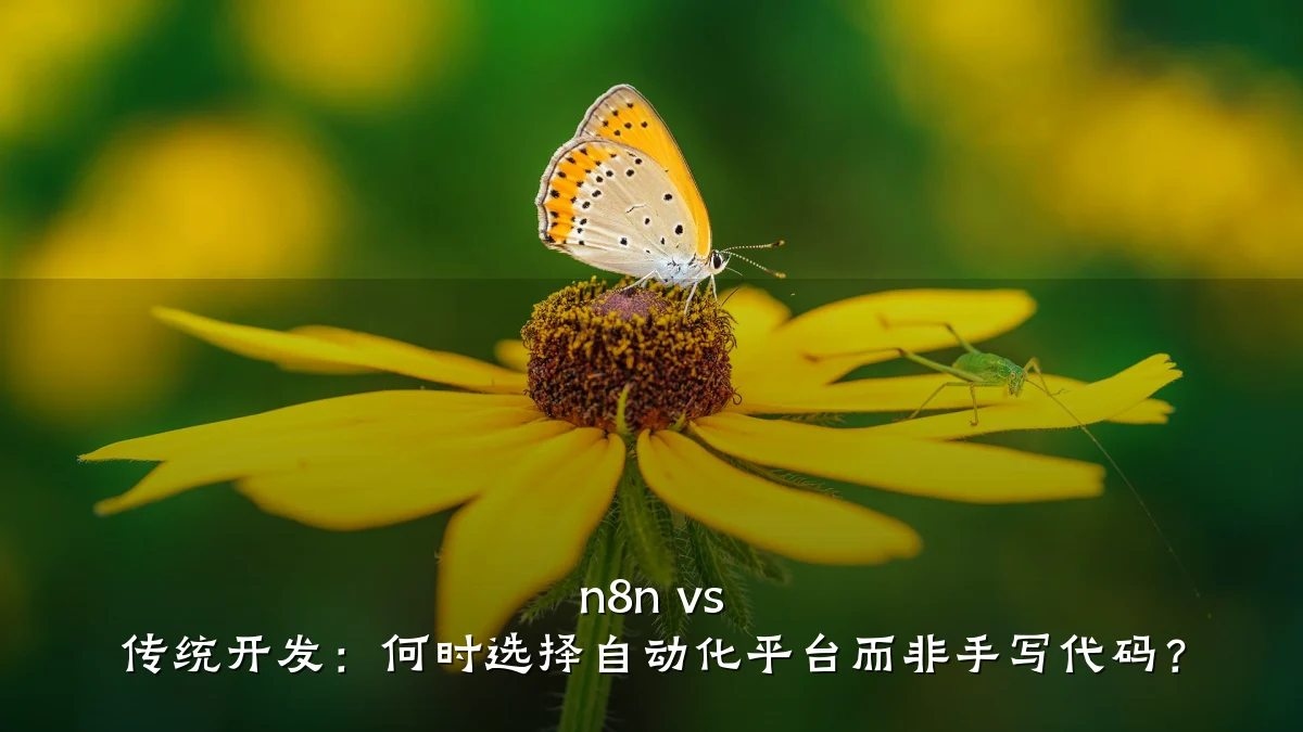 n8n vs 传统开发:何时选择自动化平台而非手写代码?