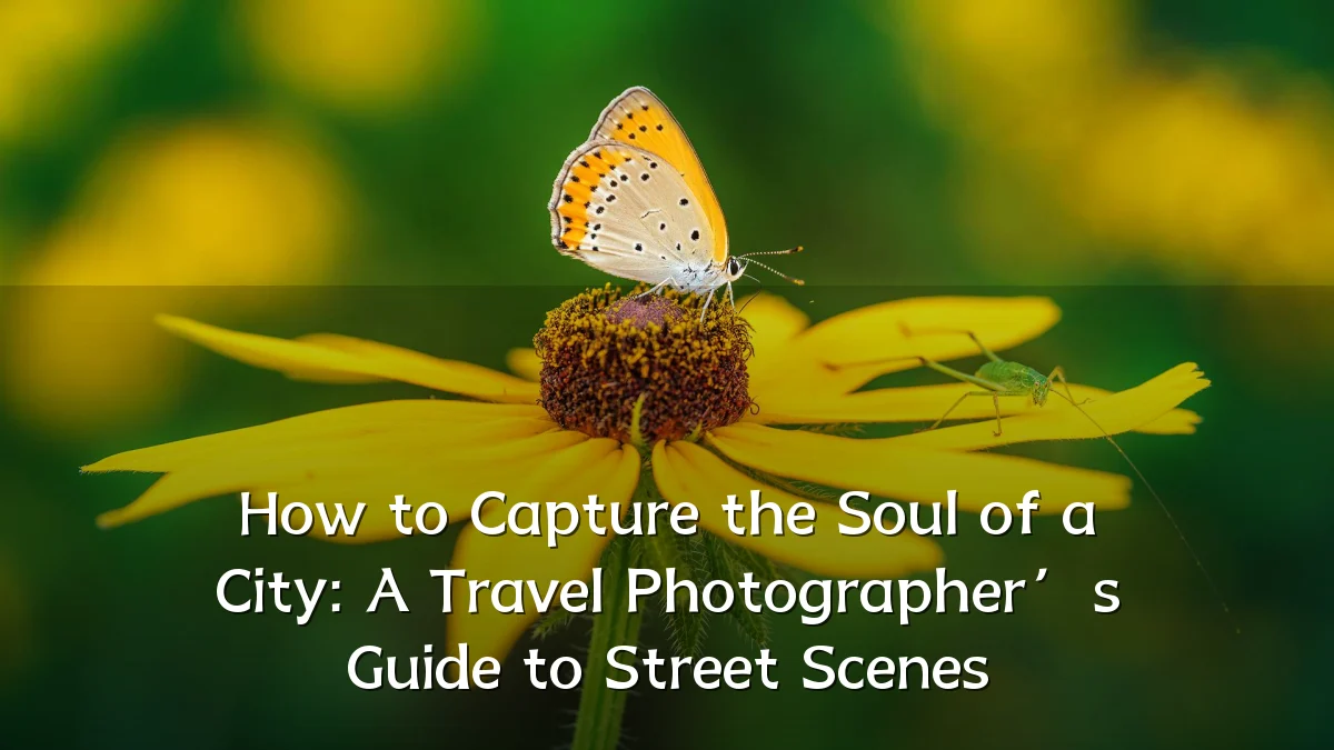 How to Capture the Soul of a City: A Travel Photographer’s Guide to Street Scenes